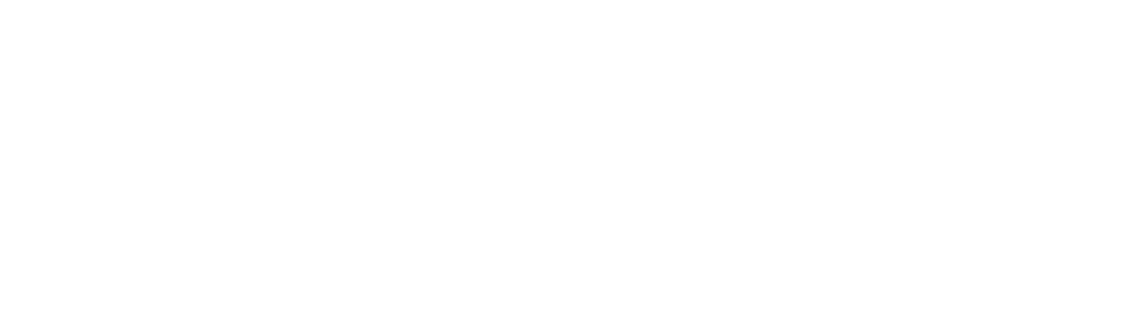 BotPro Logo